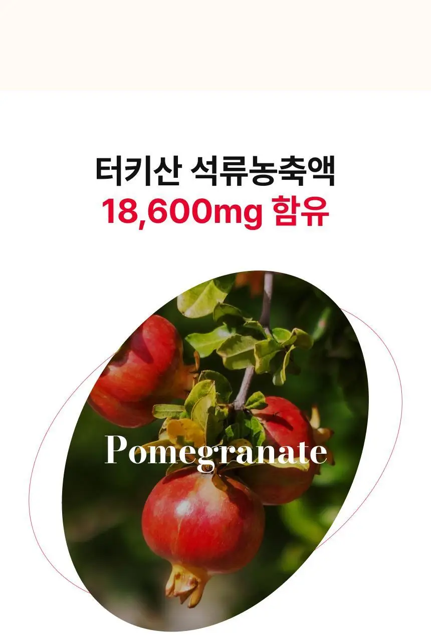 [차학연 PICK/1+1] 비비랩 콜라겐 젤리 14포 3종 택1 (석류콜라겐S/이뮨알로에/콜라겐탱글업) 상세페이지 16